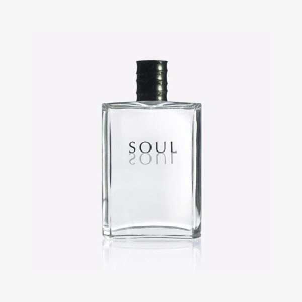ادکلن ادوتویلت مردانه SOUL 100ml - Image 1