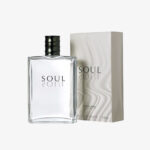 ادکلن ادوتویلت مردانه SOUL 100ml - Image 2